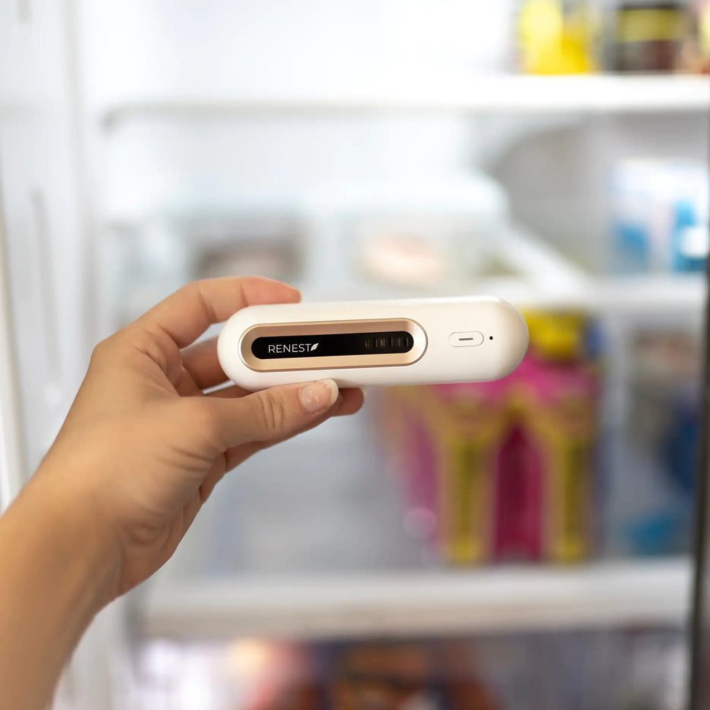 Modern Portable Deodorizer