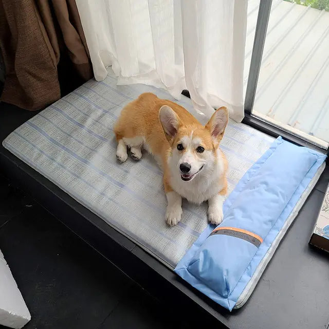 Summer Dog Bed Thick Mat