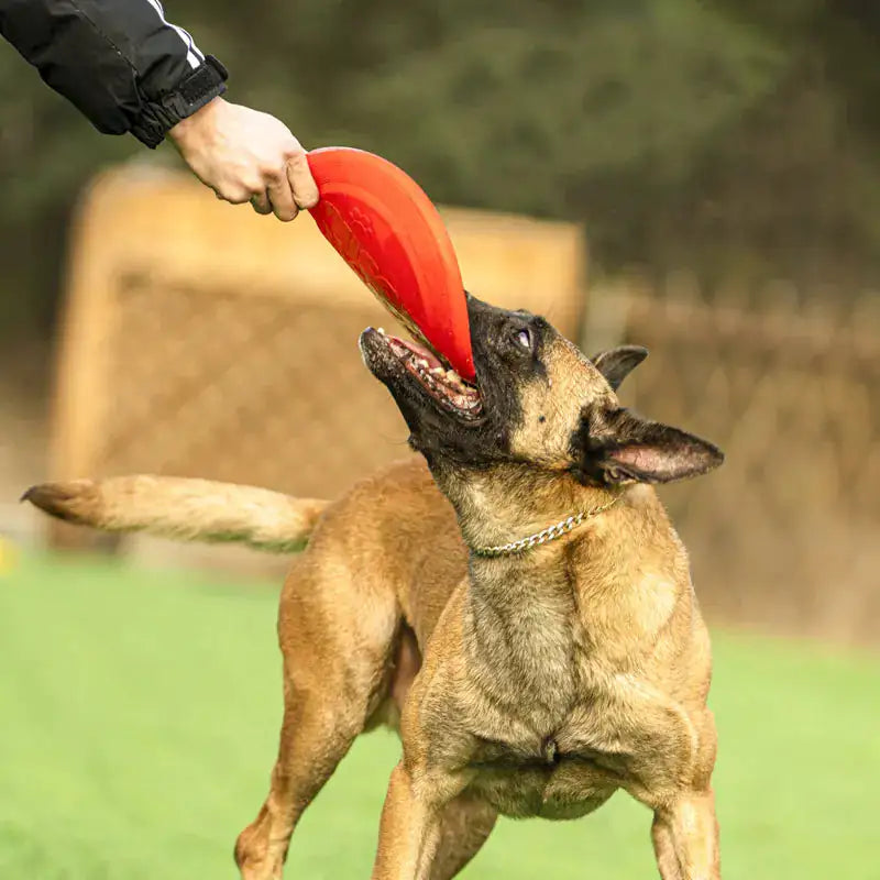Rubber Flying Disc For Dogs